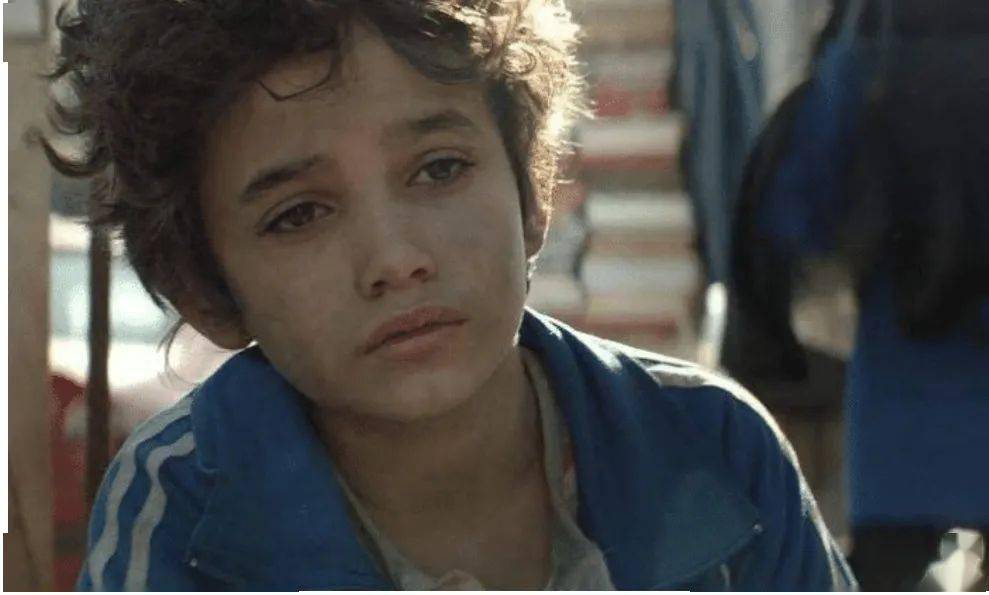 西柚影荐何以为家