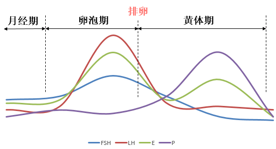 女性备孕需不需要检查性激素六项化验单上的数值分别代表着什么