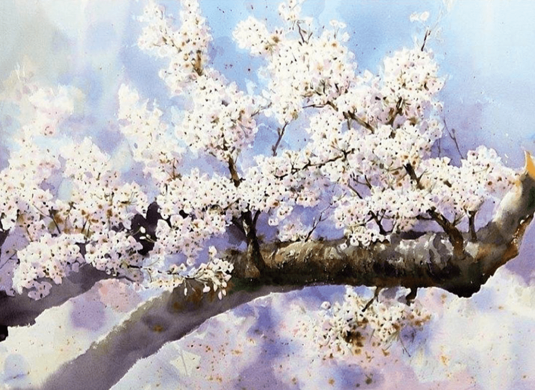 韩国水彩画家申宗植shinjongsik作品欣赏花卉系列三