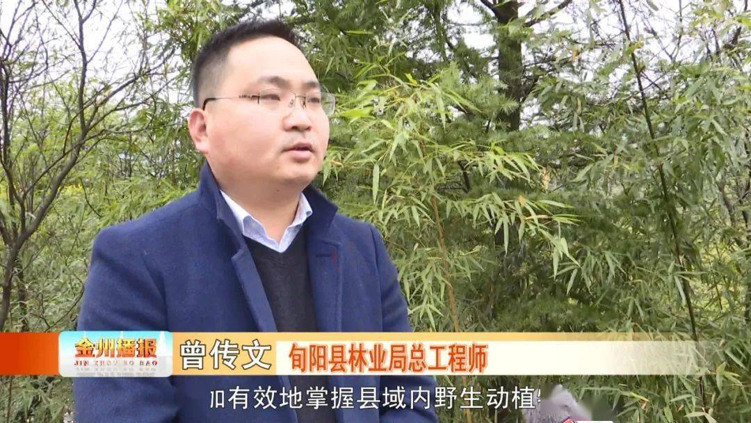 旬阳县林业局总工程师 曾传文下一步,我们将积极争