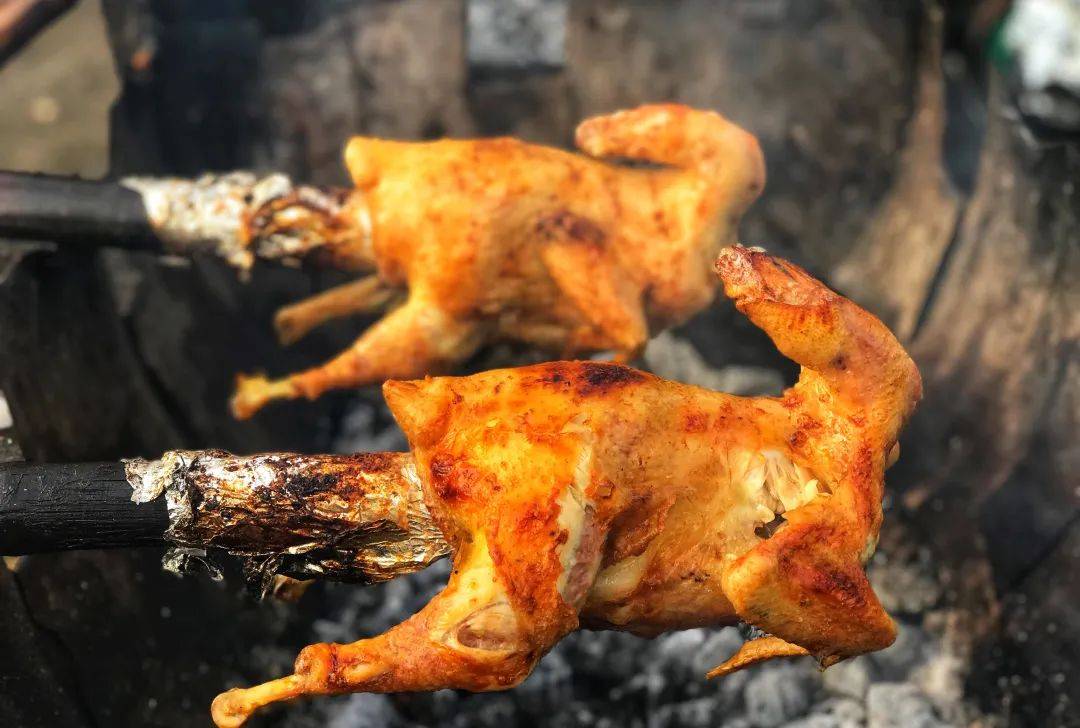 陆力同心研学篇满足孩子对雨林的所有好奇