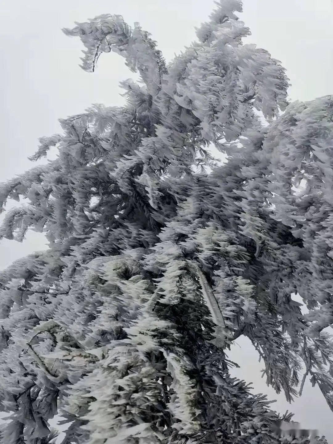 安龙风景名胜区