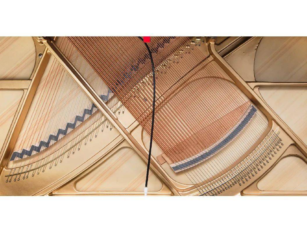 新品上市卡丹萨cadenza钢琴高颜值系列亚光琴闪耀登场