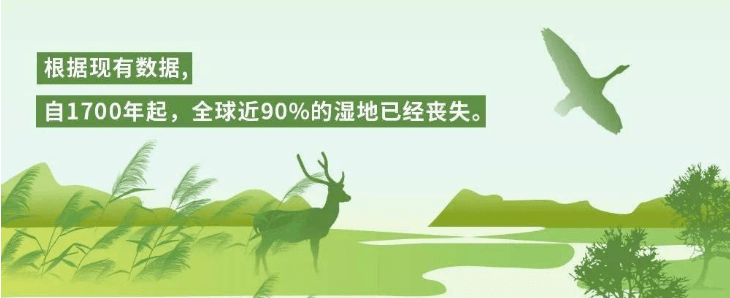 解读2020地球生命力报告我们可能是最后一代能拯救局面的人