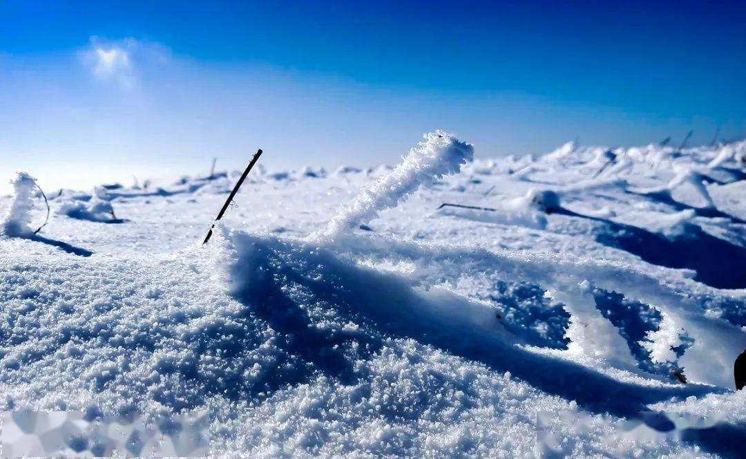 韭菜坪的雪那么美