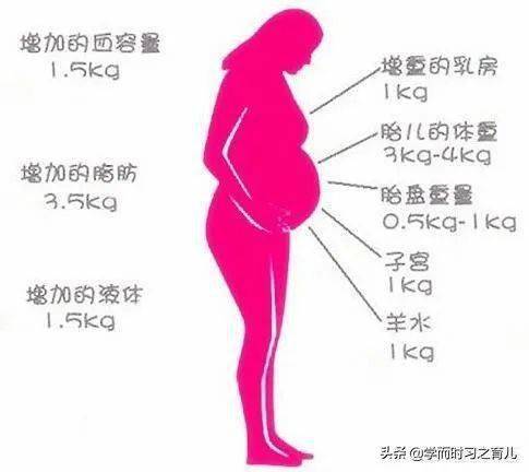 孕期胎儿体重标准表(孕期胎儿体重标准值对照表)-第1张图片-鲸幼网