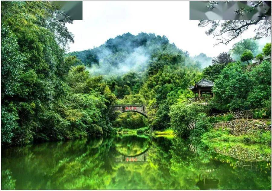 岩樟乡党委书记李小春开放创新勇担使命奋力书写龙泉复兴岩樟答卷丨