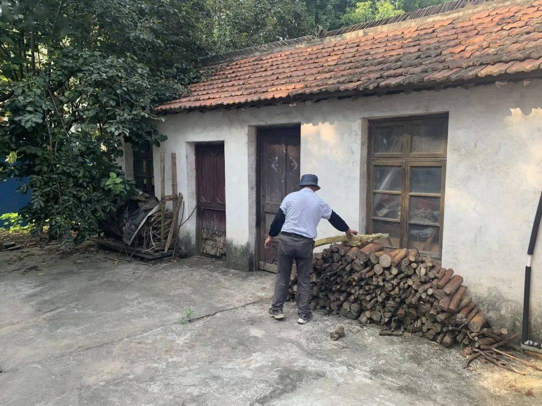 沪苏通大桥下的这个村庄为苏南最美桥头堡不断增色