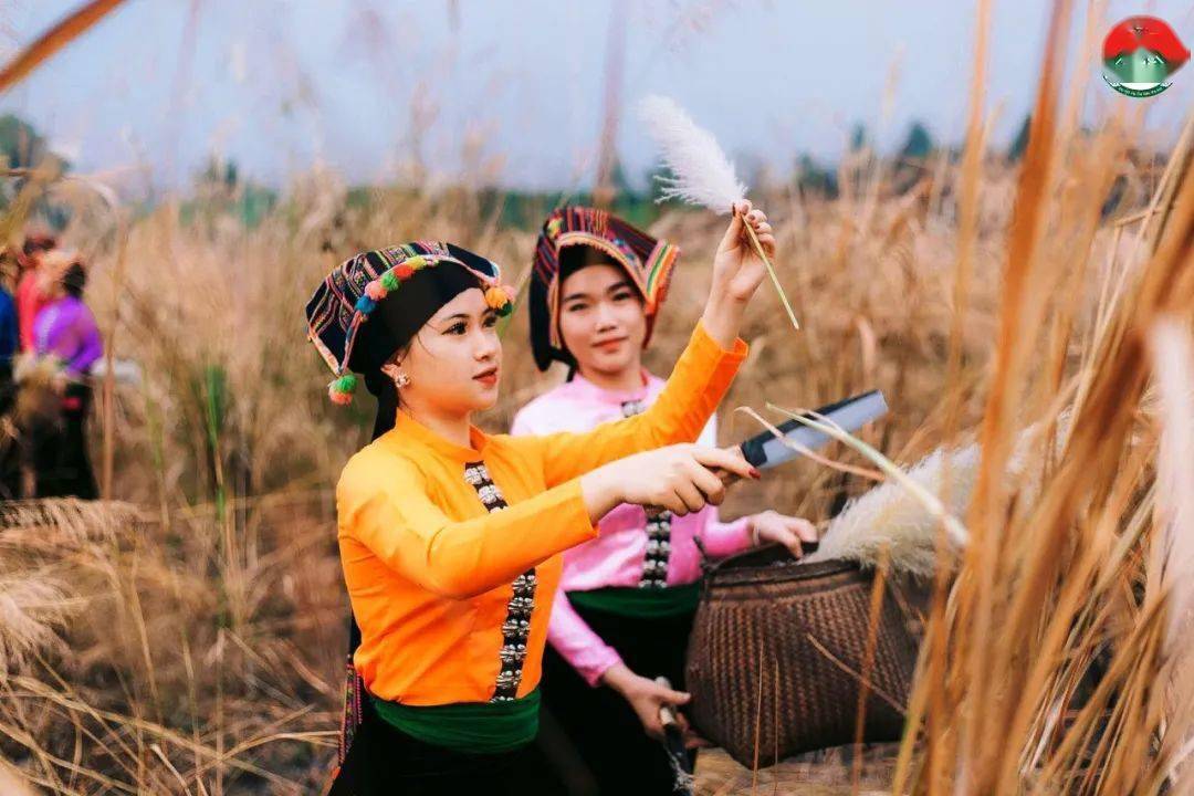 越南老街省白傣美图