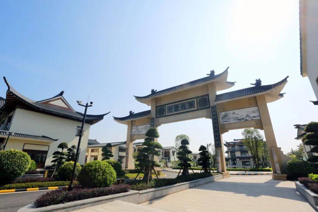 南山区帮扶连平纪实系列报道忠信镇柘陂村奏响红色村帮扶协奏曲