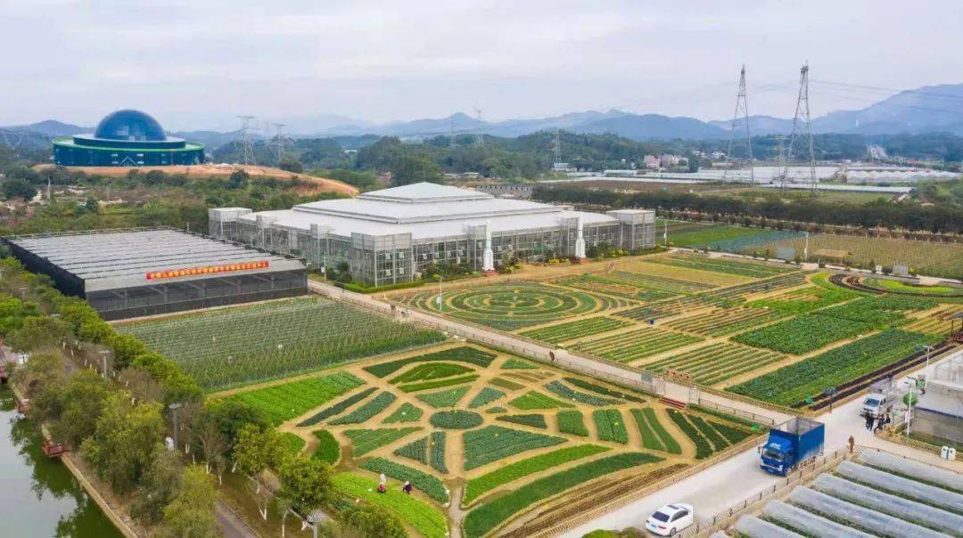 隆重开幕将在我县航天农业科技生态园暨2020年博罗县农作物新品种展示