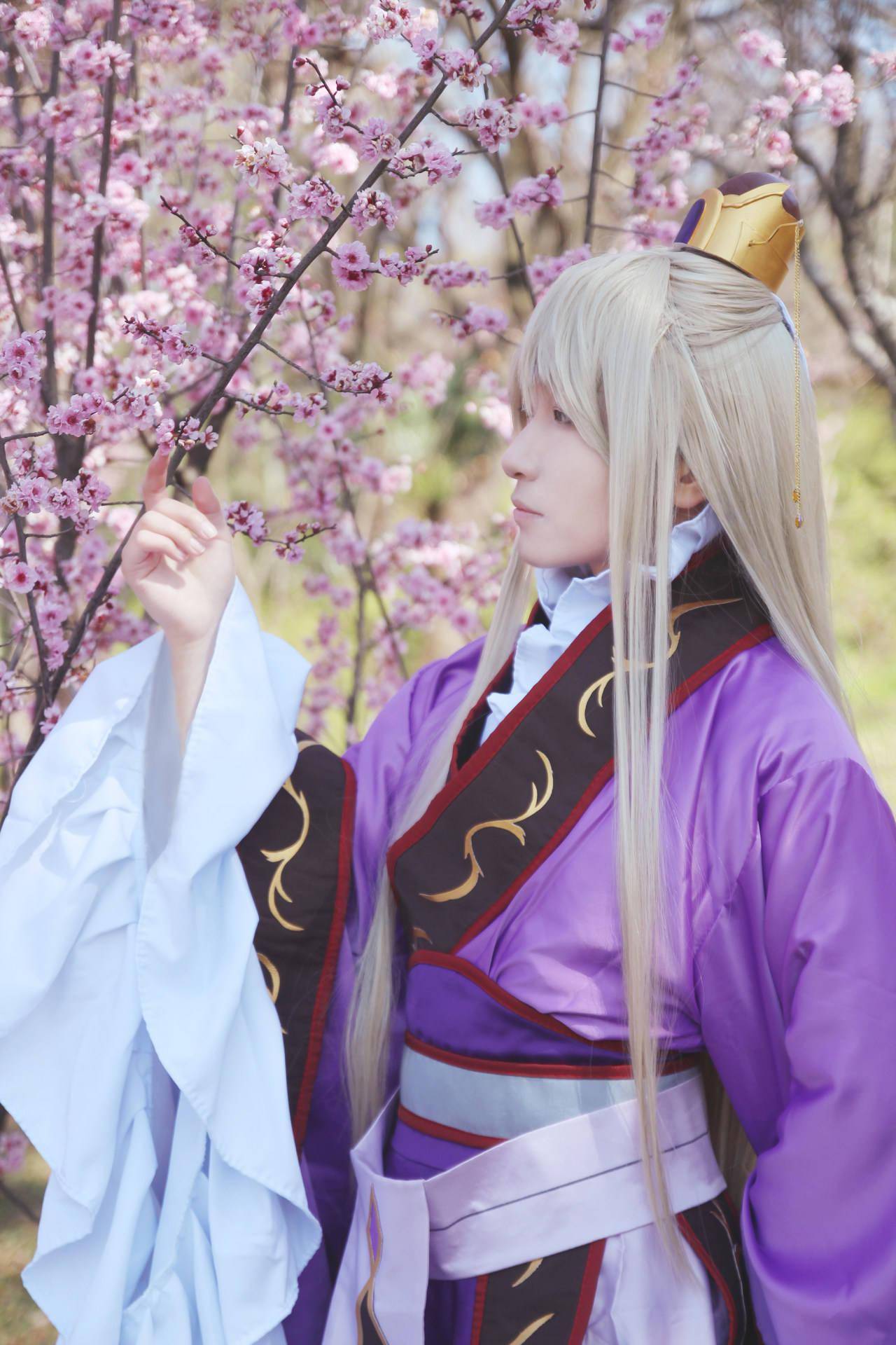 彩云国物语紫刘辉cosplay