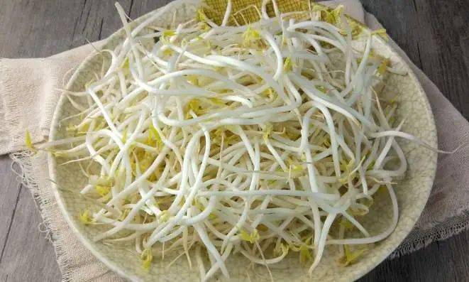 黄豆芽和绿豆芽都是豆芽那营养一样吗二者可是不同的哟