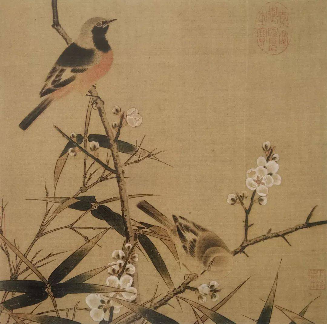 六十幅宋代工笔花鸟小品精选_宋人