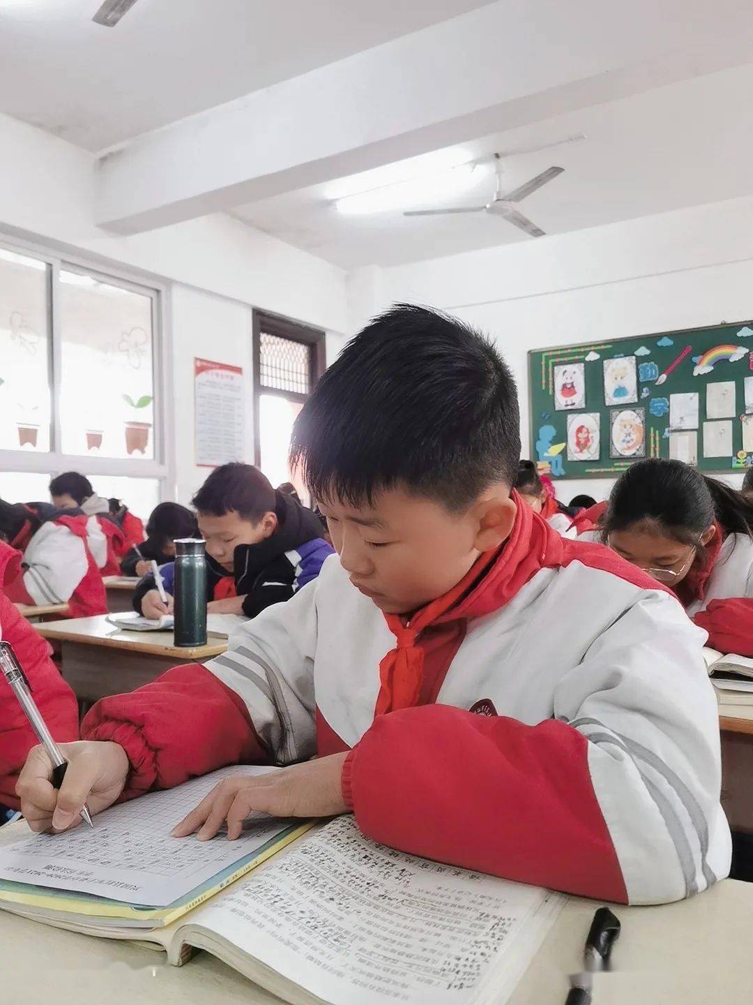 辛勤耕耘见成长 竞赛收获笑盈盈