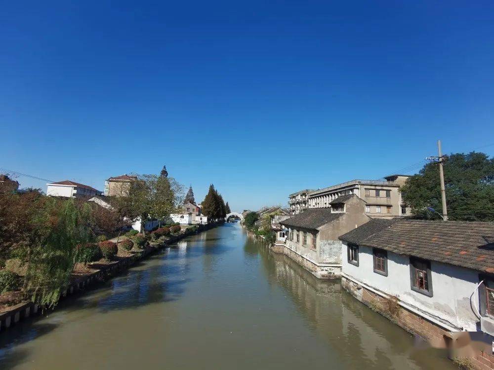 平湖新仓老街有机更新运维项目区域东至风雷河,南至育才路,仓前路,西