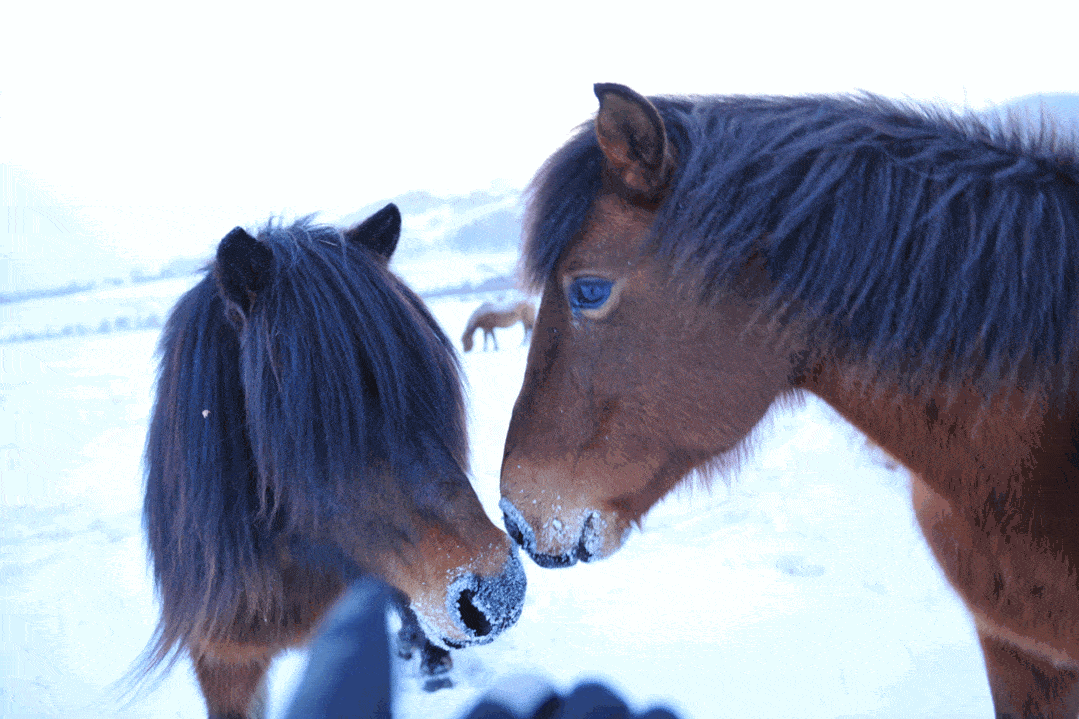 1079_719gif 动态图 动图