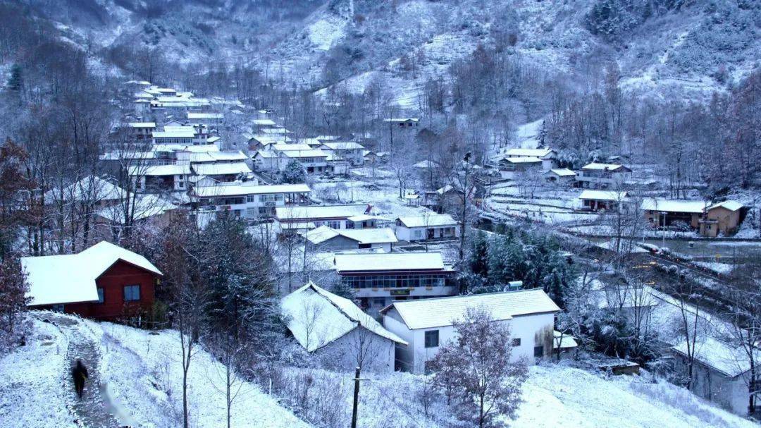康县雪景大片超赞