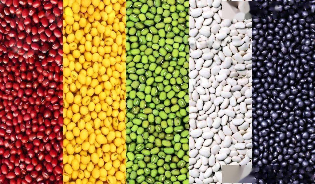 科普为何豆科植物能结瘤固氮