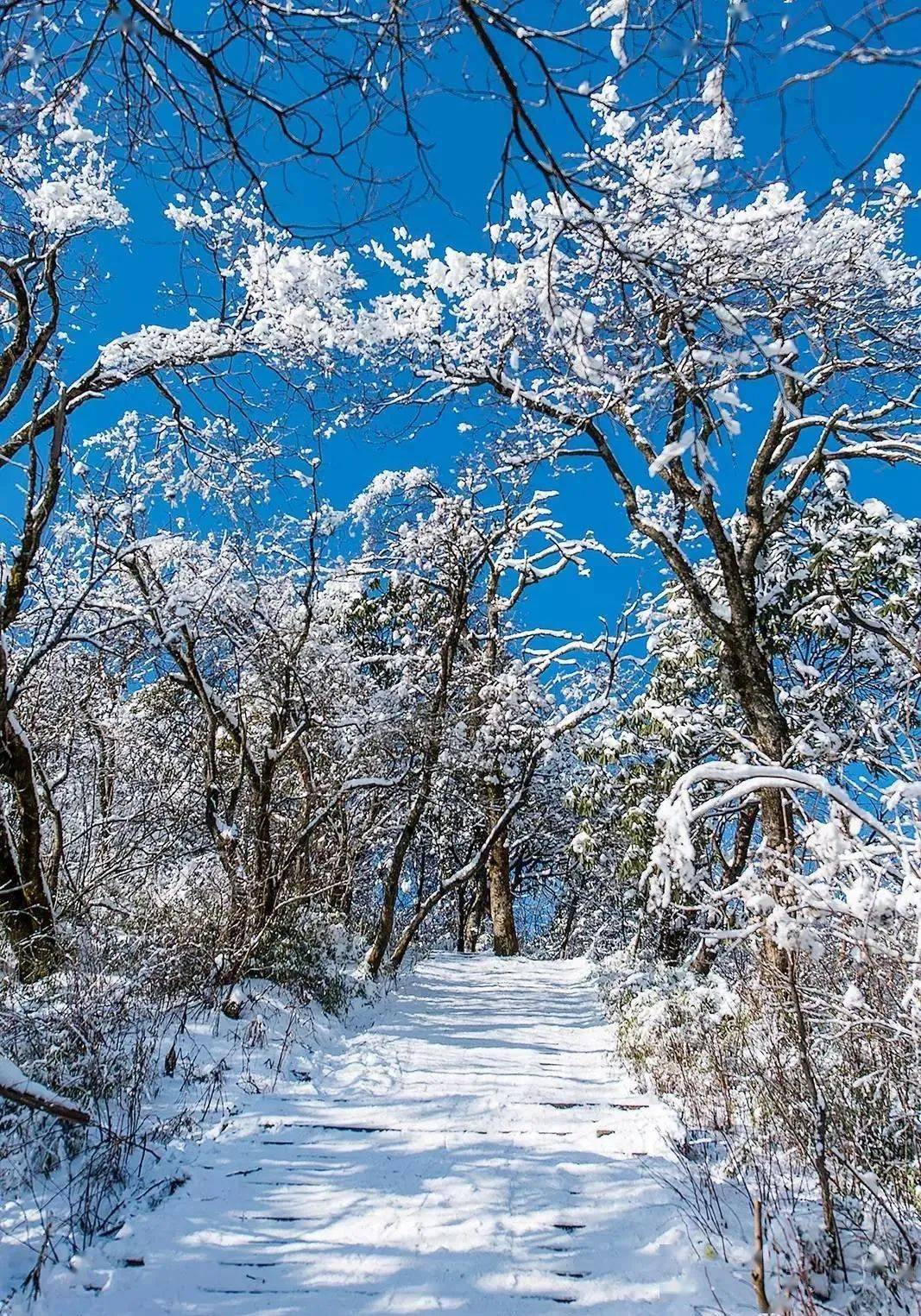 彭州耍雪旅游景点大全图片