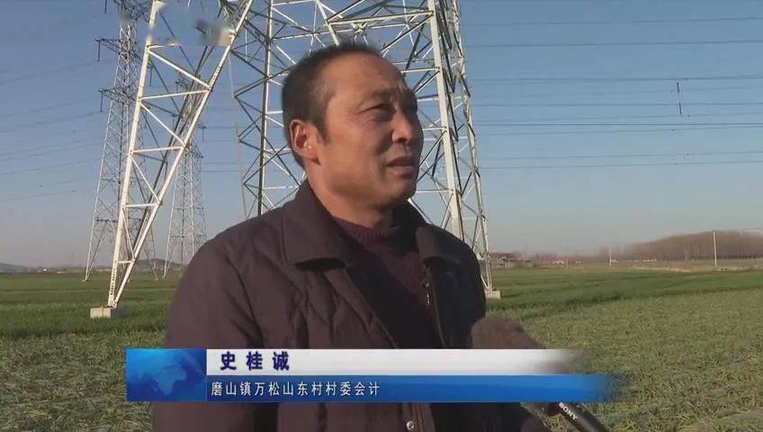 蘭陵磨山村民投訴供電公司架設高壓線佔地補償未撥付現場問政