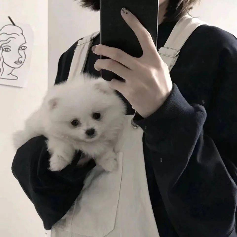 959995999599不露脸男头