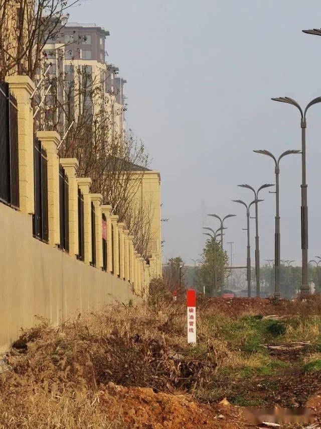 来源:武汉城市留言板