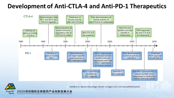 劉曉林第二代腫瘤免疫檢查點抑制劑開發腫瘤免疫治療20