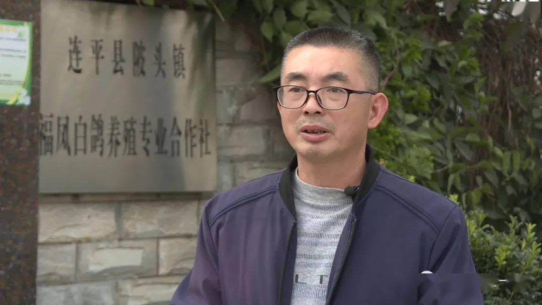 连平县陂头镇官岭村福凤白鸽养殖场负责人 谢福海:"老鸽我们是包邮,五