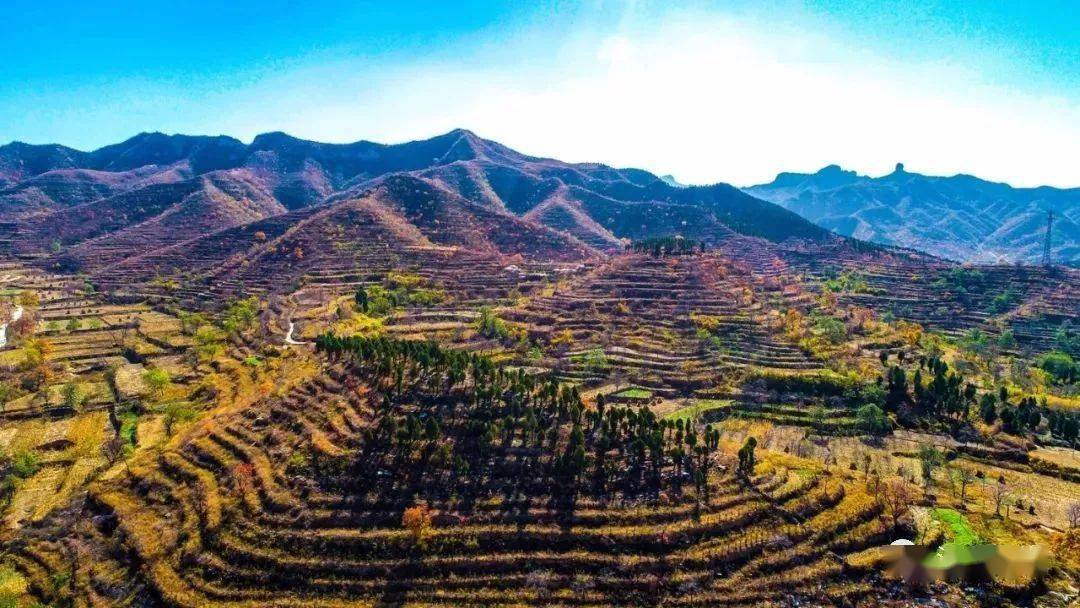 涉县旱作梯田系统作物品种多样性保护与利用研究项目获奖了