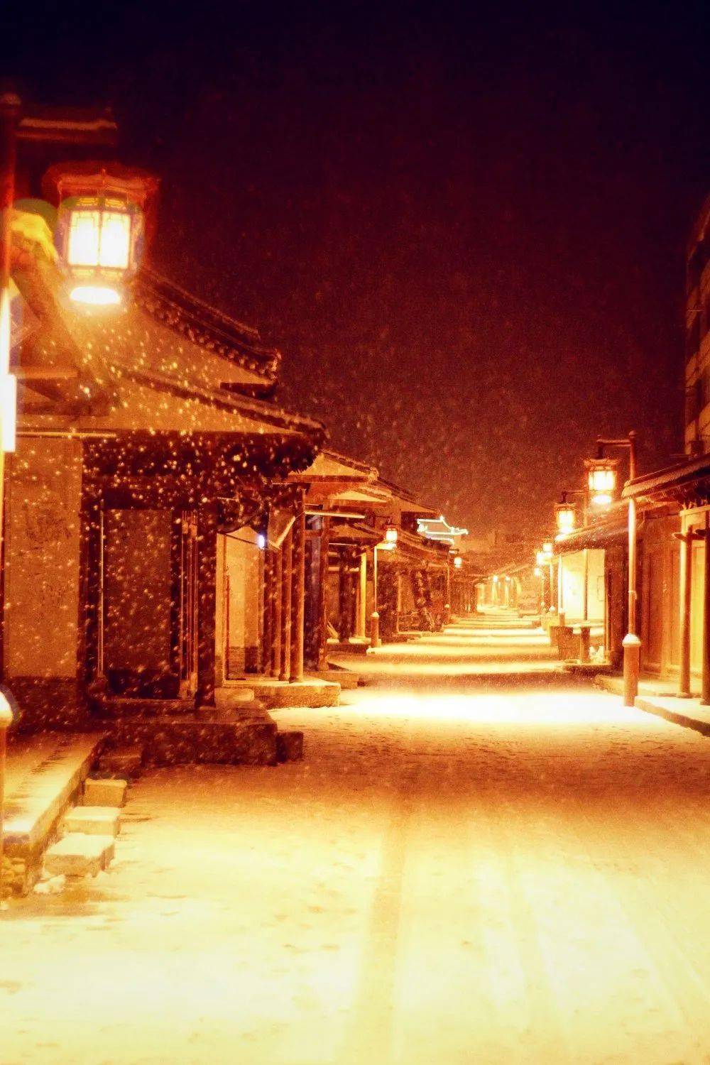 人文秦安 冬至 雪夜围炉读旧书