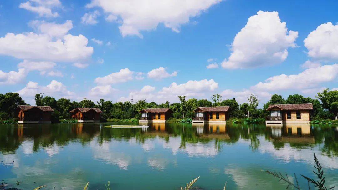 电站村,特色农庄