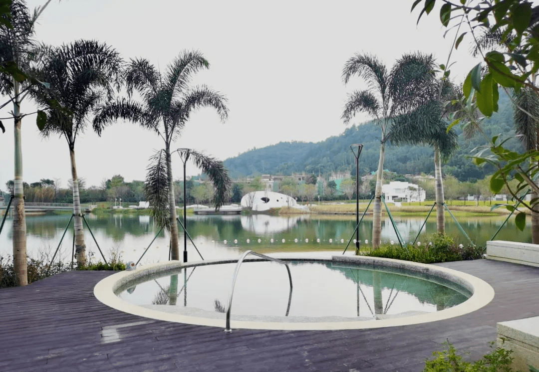 打卡全新高逼格度假酒店06699元套抢河源春沐源小镇棕榈树轻奢酒店