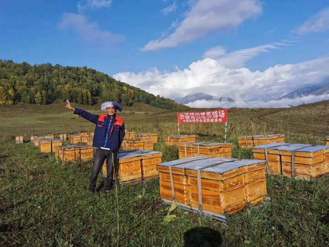 新疆锡伯渡养蜂场,位于新疆阿勒泰地区,基地位于新疆建设兵团第十师
