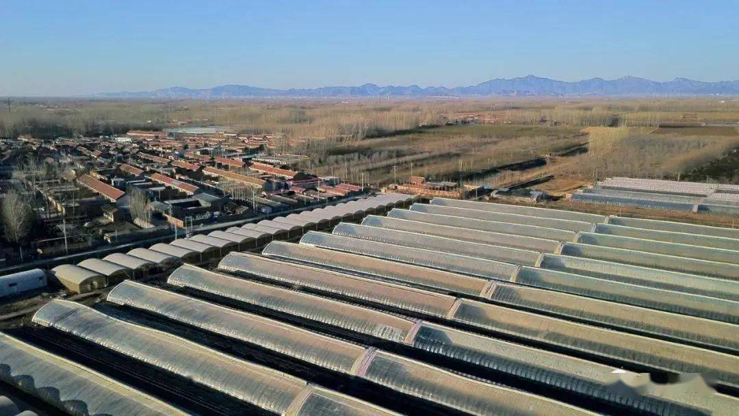 一个摄影爱好者镜头下的天津新农村