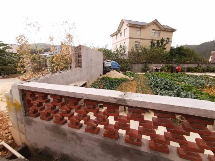 针对村道狭小的问题,团队提出降低围墙高度,拆墙透绿,增加绿量.