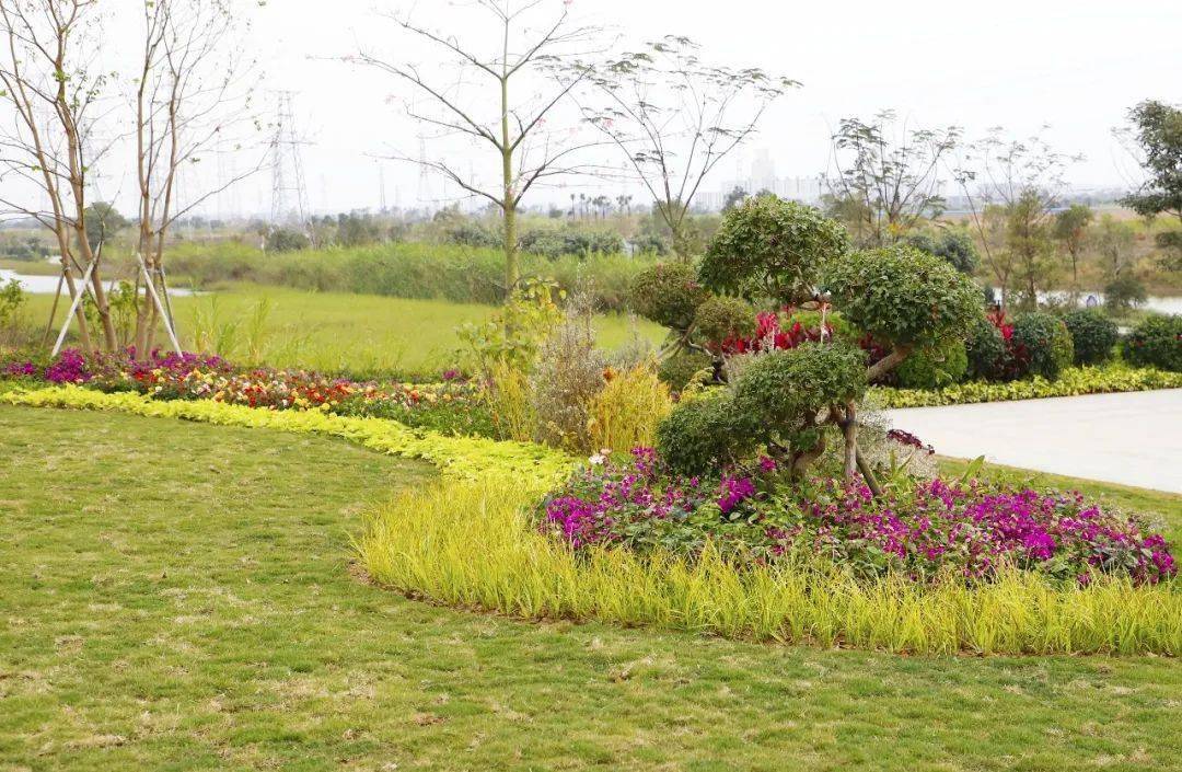 在组团绿植和花卉中佐以或小巧或大气的雪浪石,营造出鳞次栉比,生机