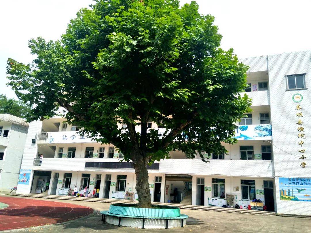 泰顺县泗溪镇横坑中心小学"校园新十景"