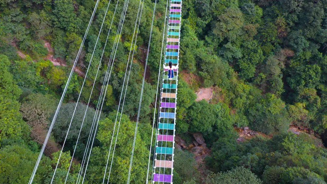 2020龙岩中国森林水乡步步惊心玻璃桥旅游季不限量门票送送送