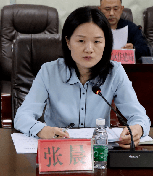 区政府副区长张晨就吉阳区"七五"普法工作情况,存在的问题以及下一步