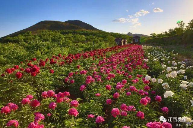 重磅唐山劳动日报头版头条报道迁西创建国家生态文明建设示范县先进