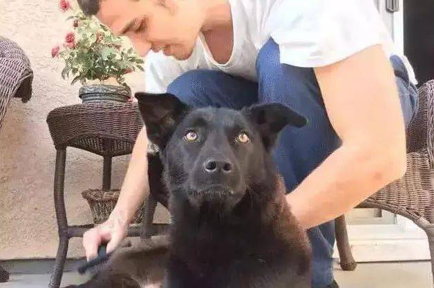 只要遇上对的人.前段时间,后台有很多朋友推荐抖音"棍哥"的视频.