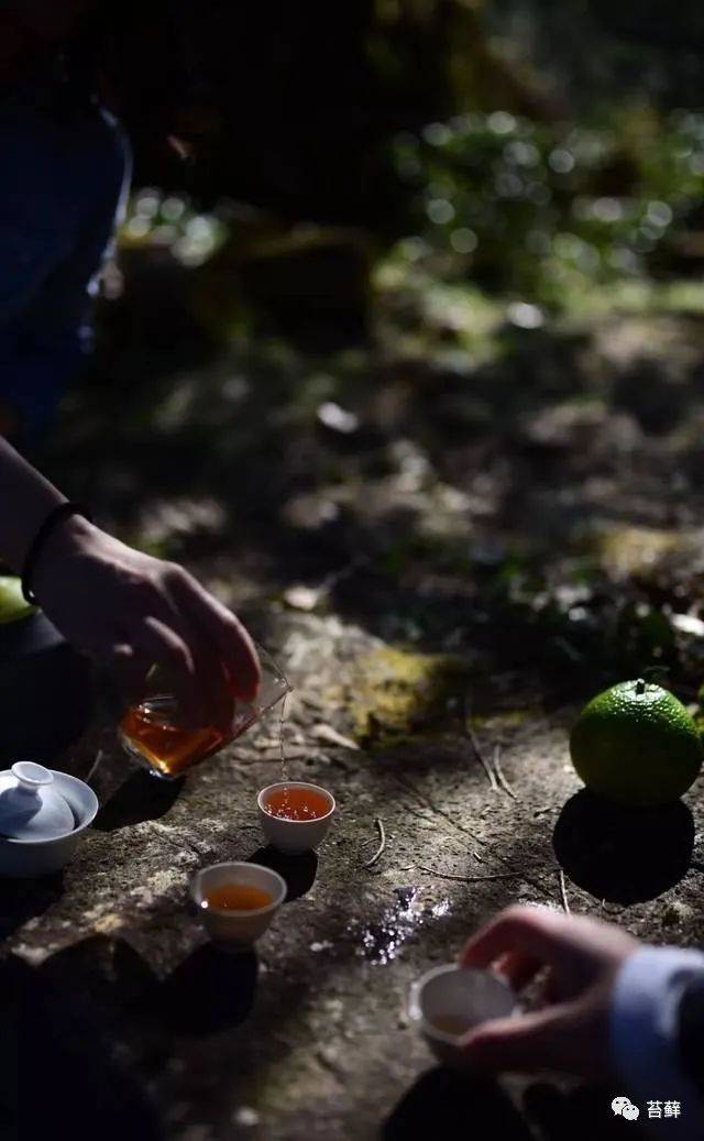 冬日里喝茶赏蒲晒晒太阳暖暖身子