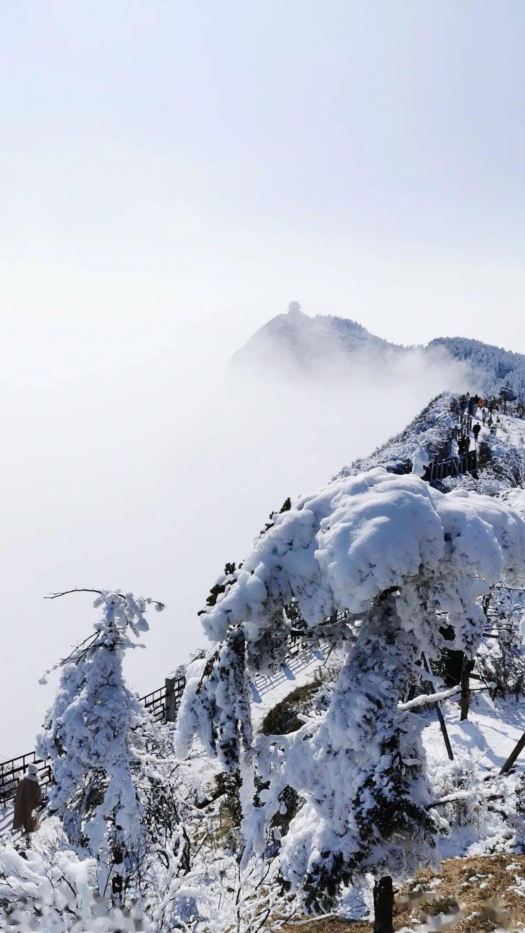 冬天的峨眉山要是不这么玩你就亏大了