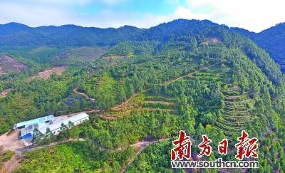 太和镇坑口村:精准发力拔"穷根" 产业扶贫铺就致富路