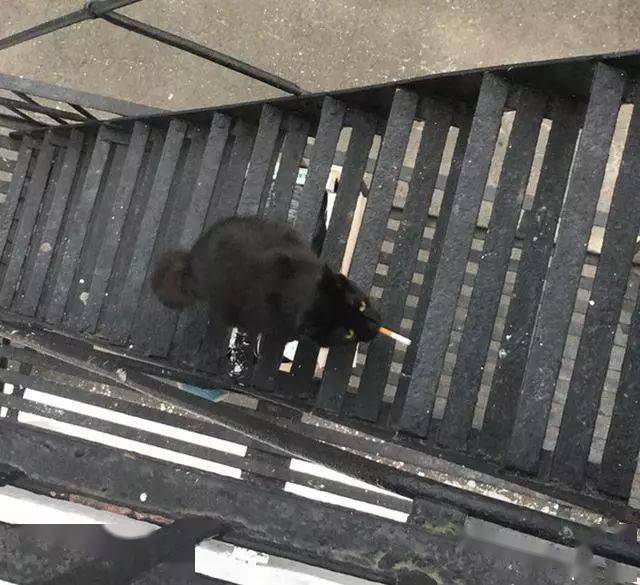 10张视觉错误的照片轻松误导你的眼睛