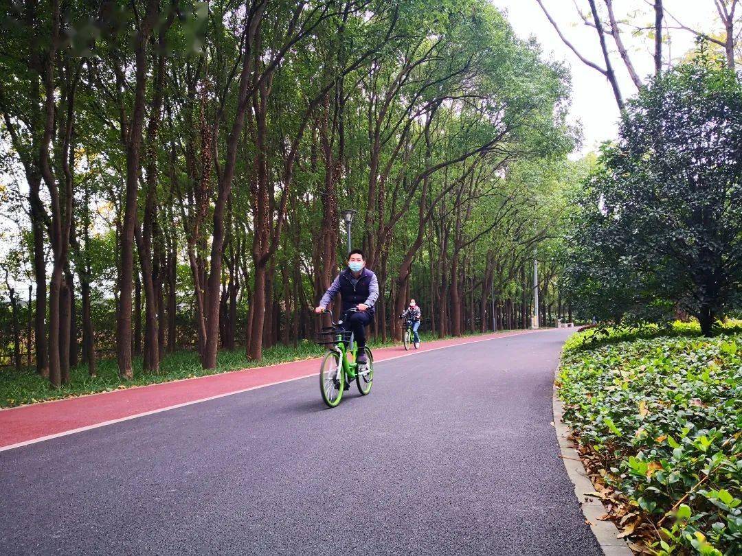 上海自行车专用骑行道图片