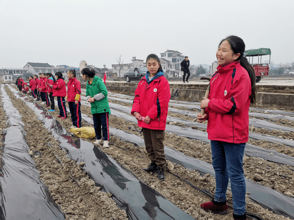 在老师的带领下,中心小学的同学们兴高采烈的来到旧州镇草芦坪村.
