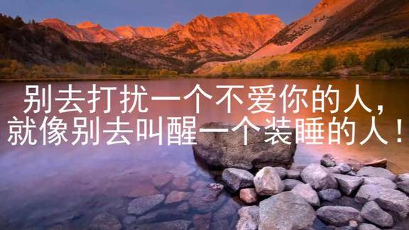 别去打扰一个不爱你的人就像别去叫醒一个装睡的人