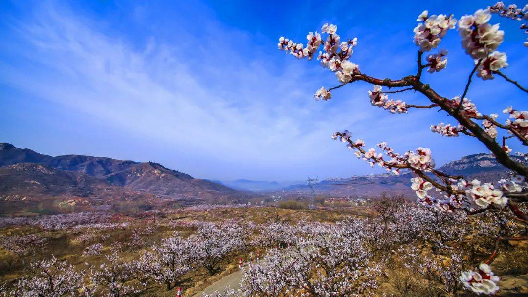 长清张夏镇旅游景点（长清张夏有好玩的地方吗） 长清张夏镇旅游景点（长清张夏有好玩的地方吗）《长清张夏有哪些旅游胜地》 旅游攻略